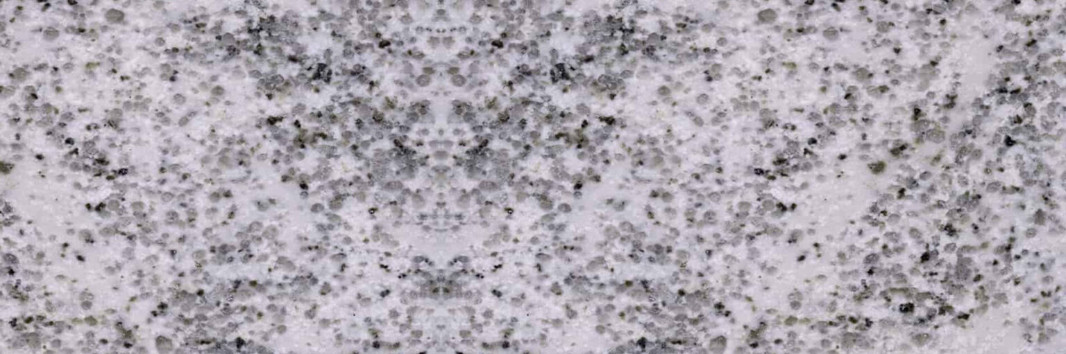 White Speck