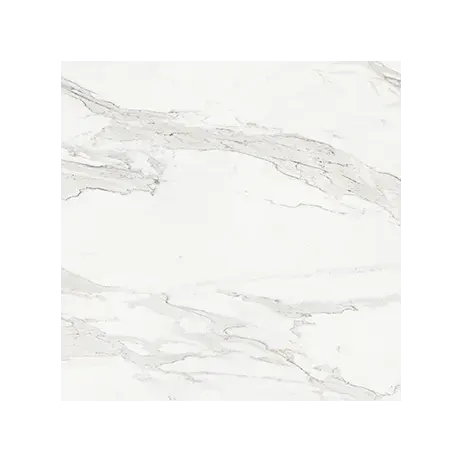 1200 x 1200 mm / 120 x 120 cm Rectified Polished / Honed Calacatta Borghini