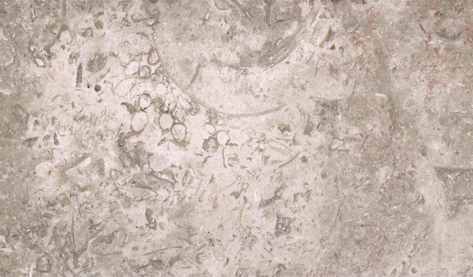 Roman Grey